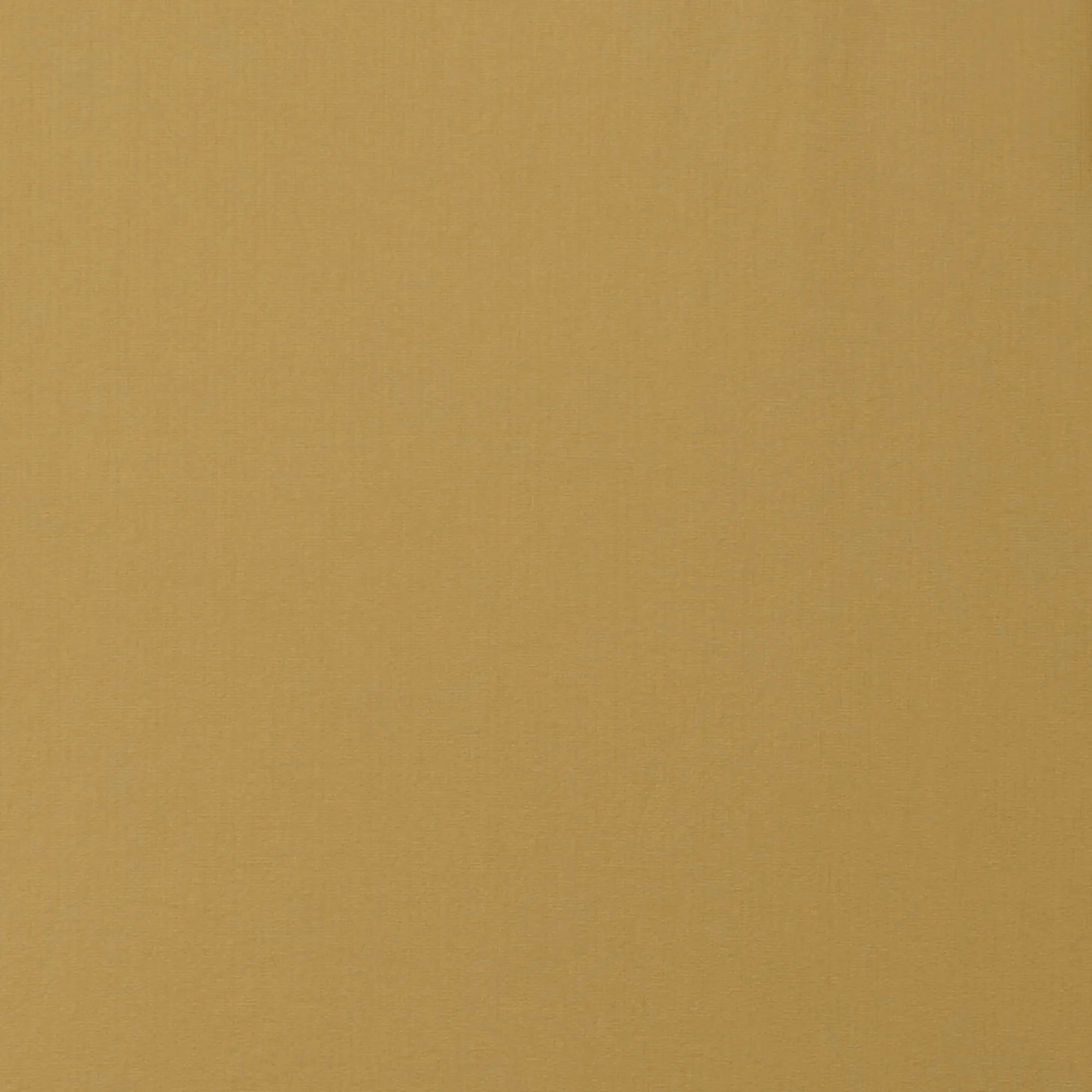 Cinnamon Brown