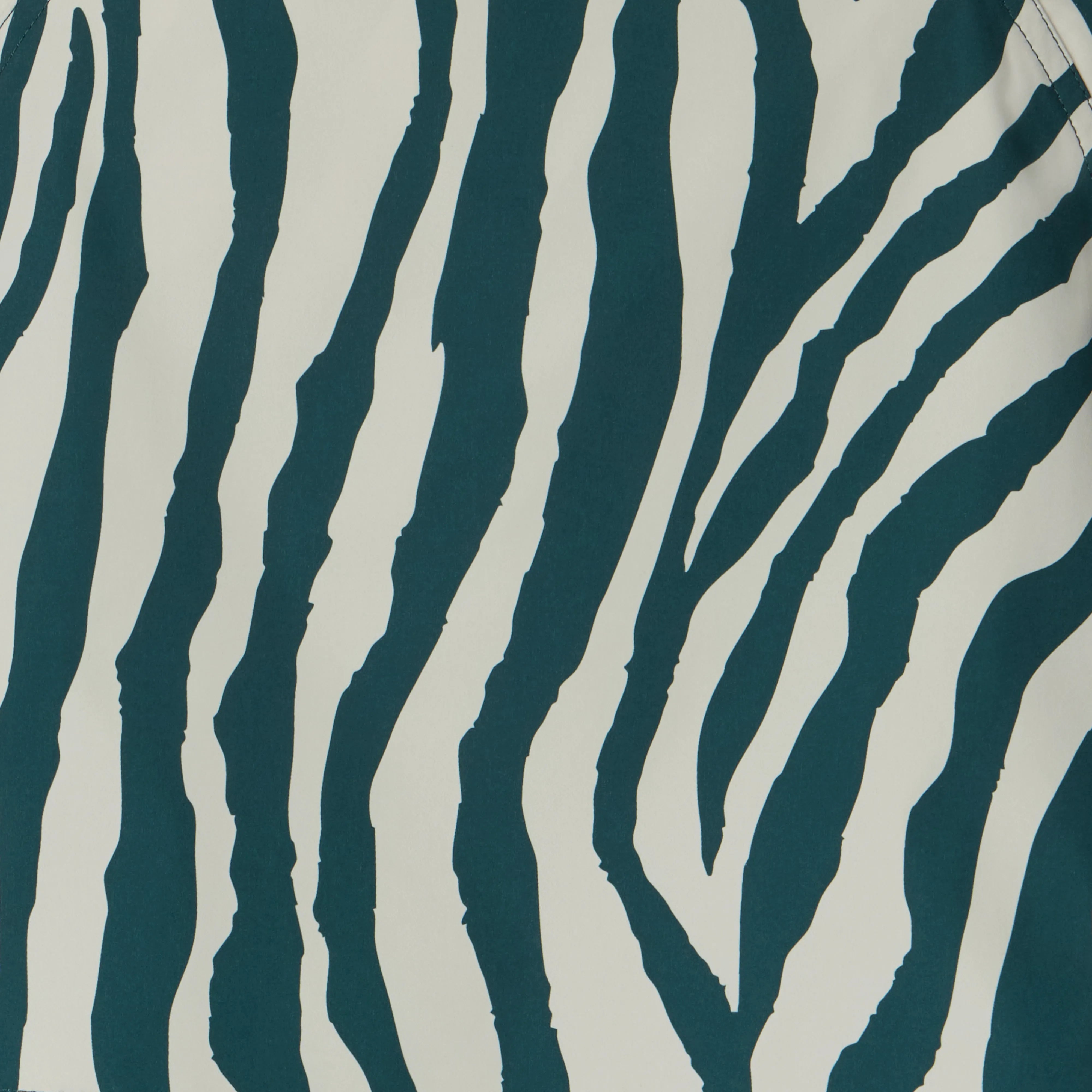 Macro Zebra