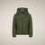 Dusty Olive