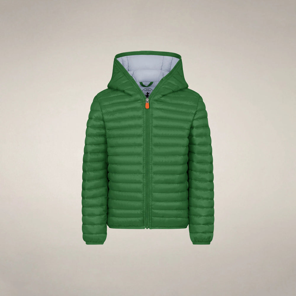 Rainforest Green