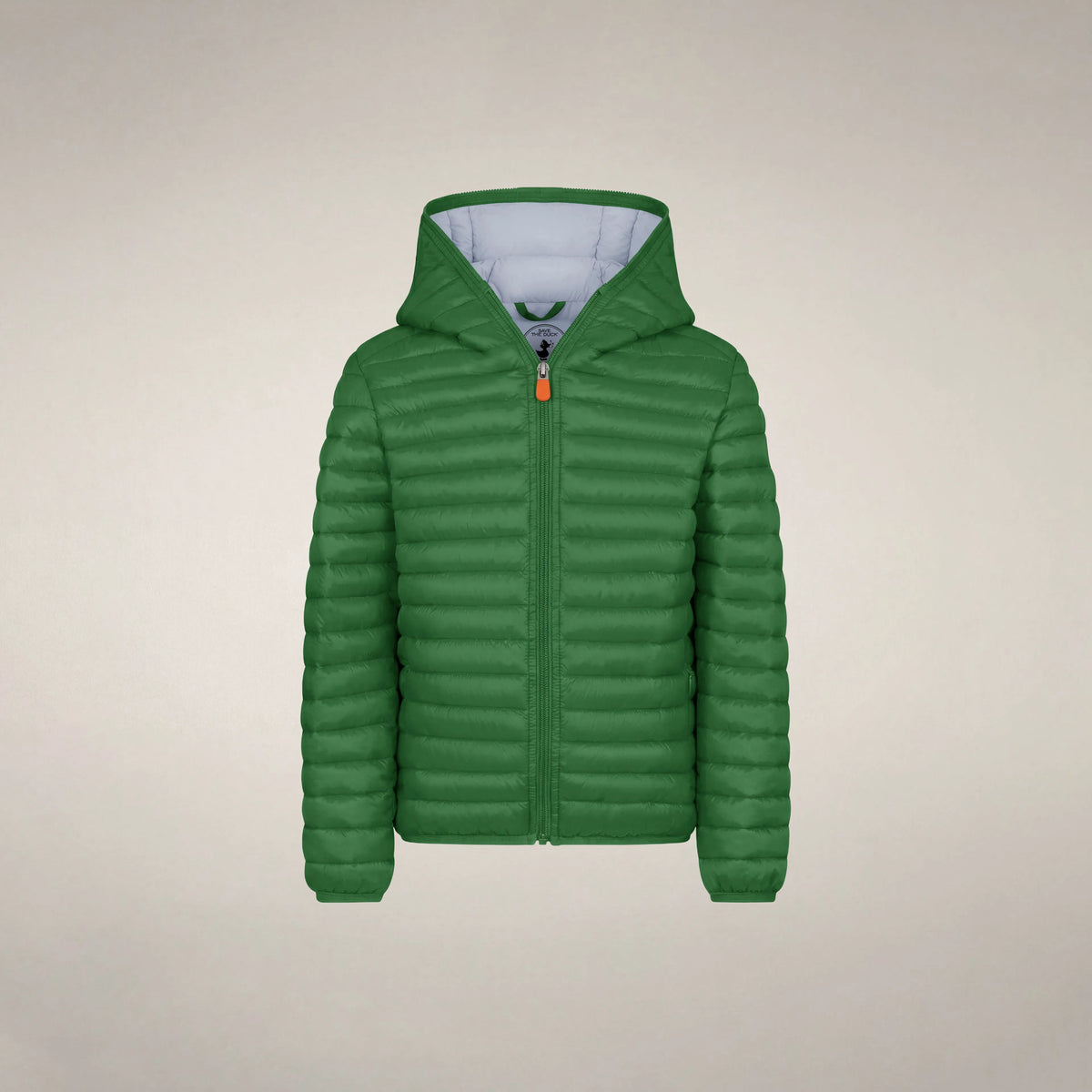 Rainforest Green
