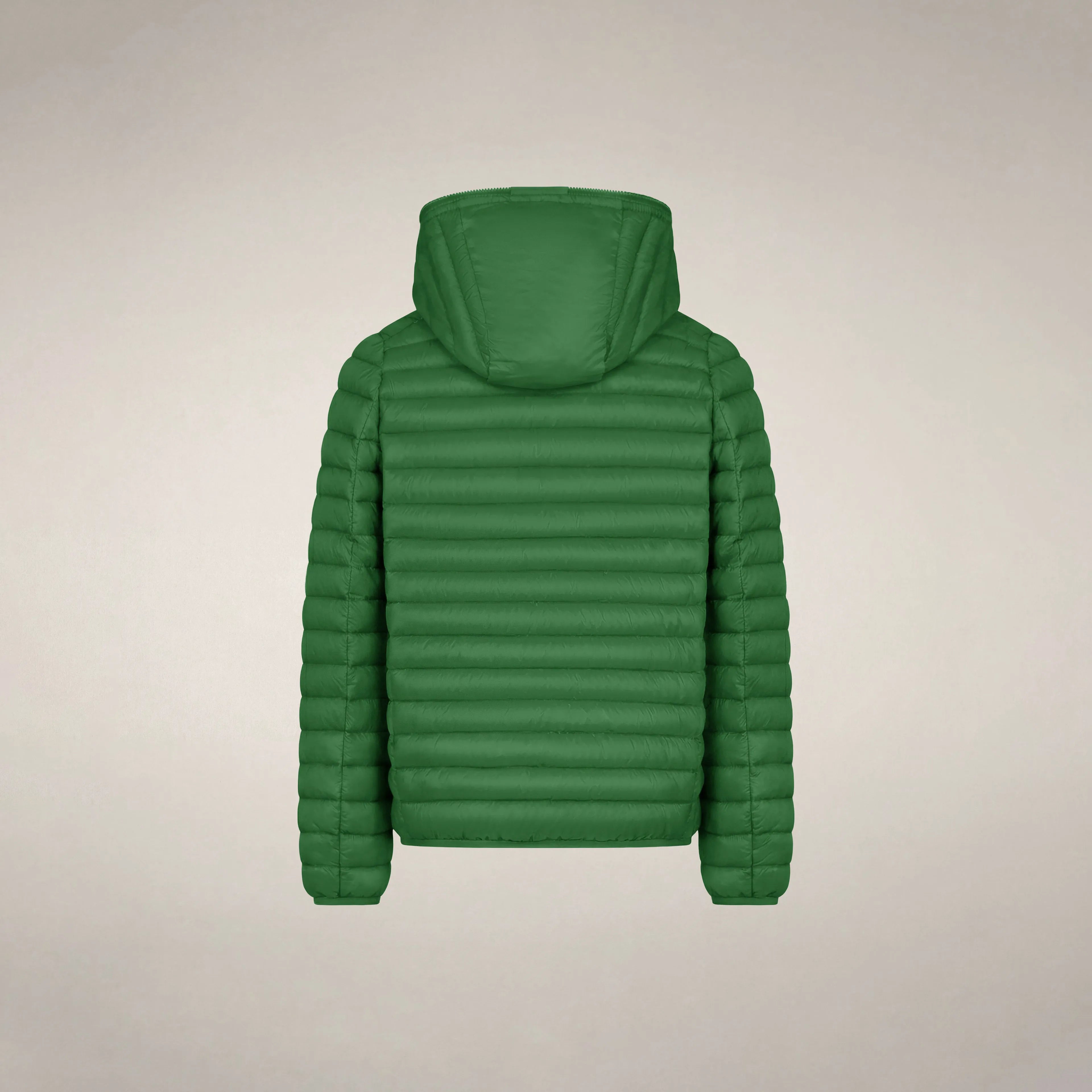 Rainforest Green