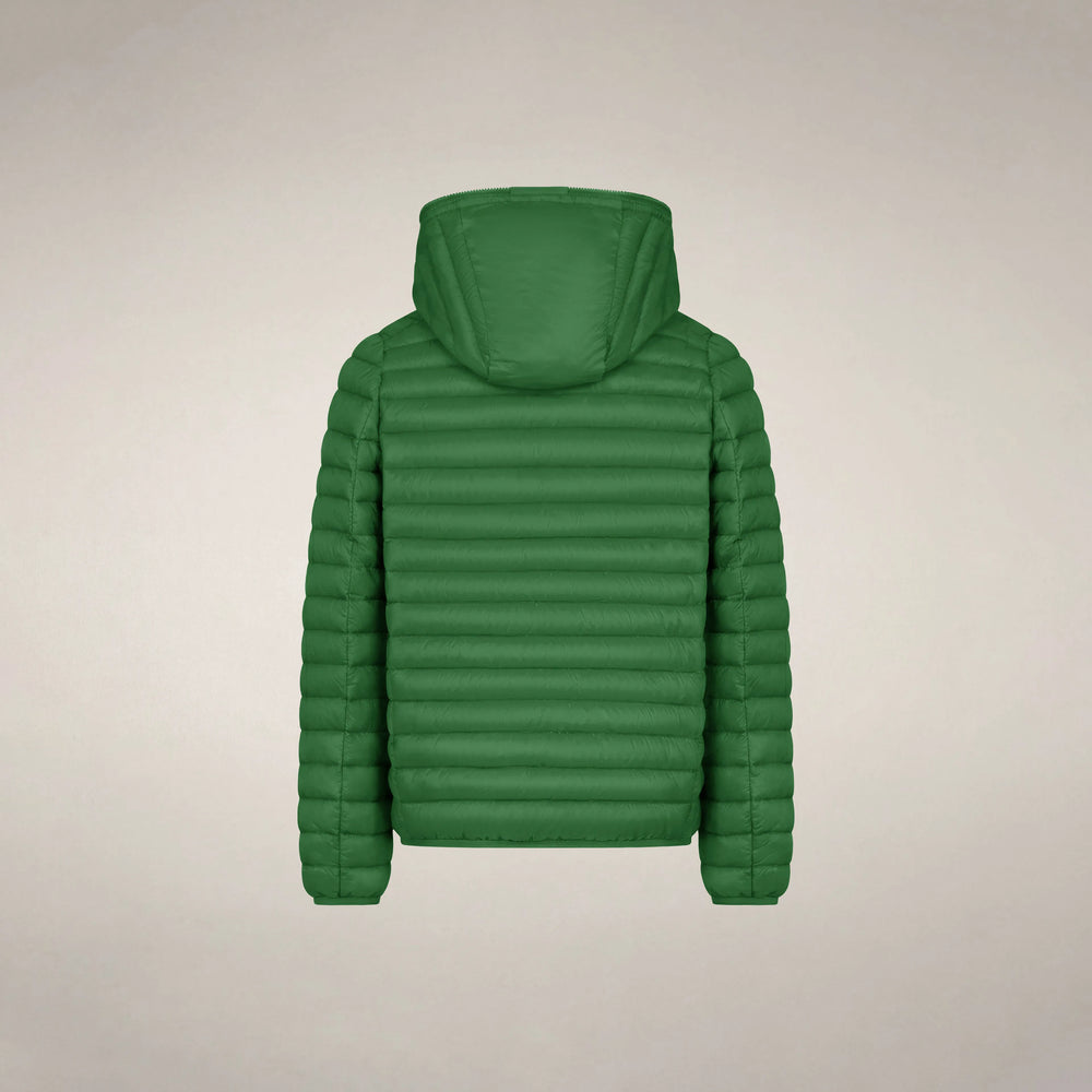 Rainforest Green