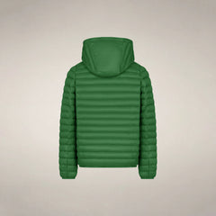 Rainforest Green