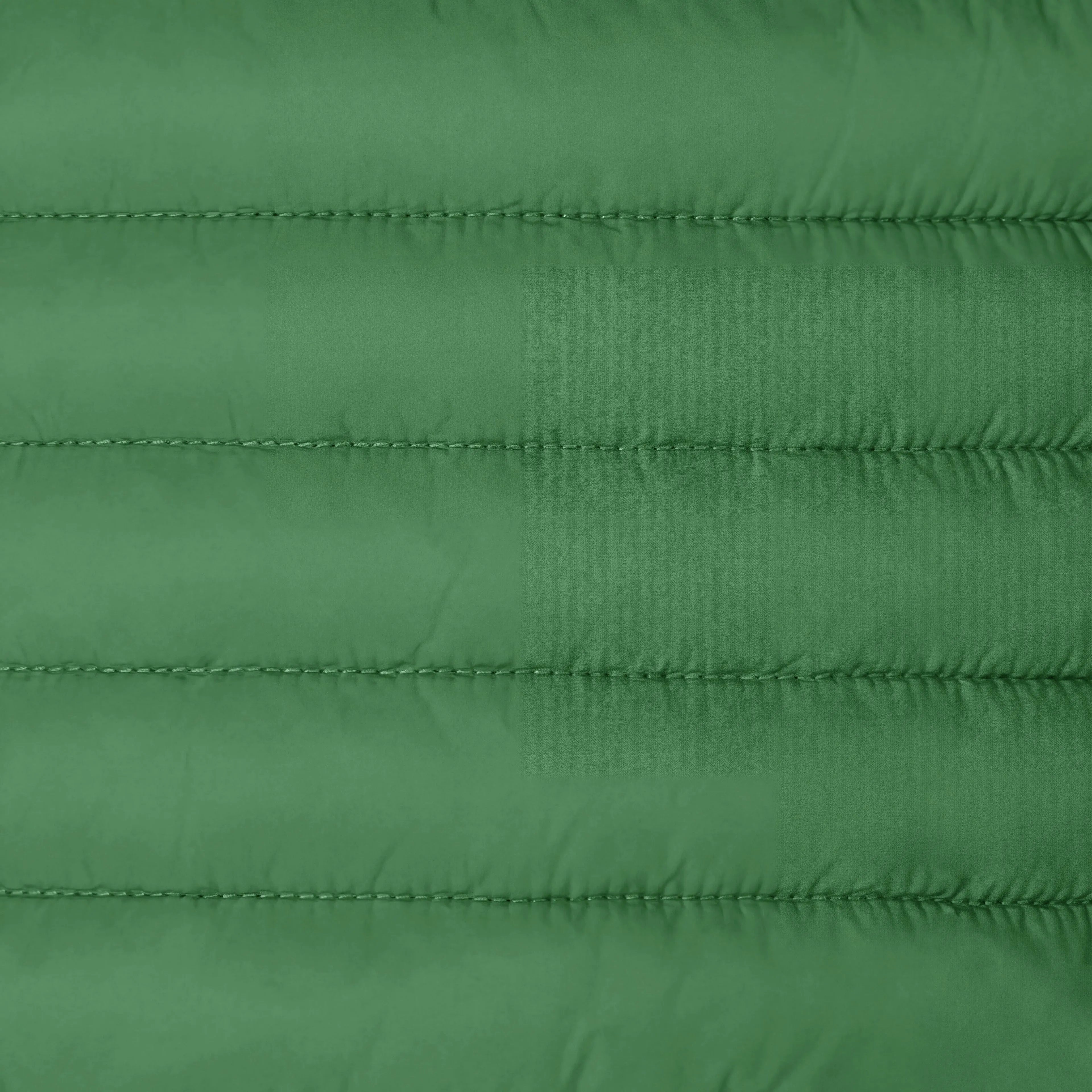 Rainforest Green
