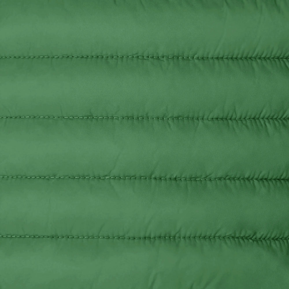 Rainforest Green