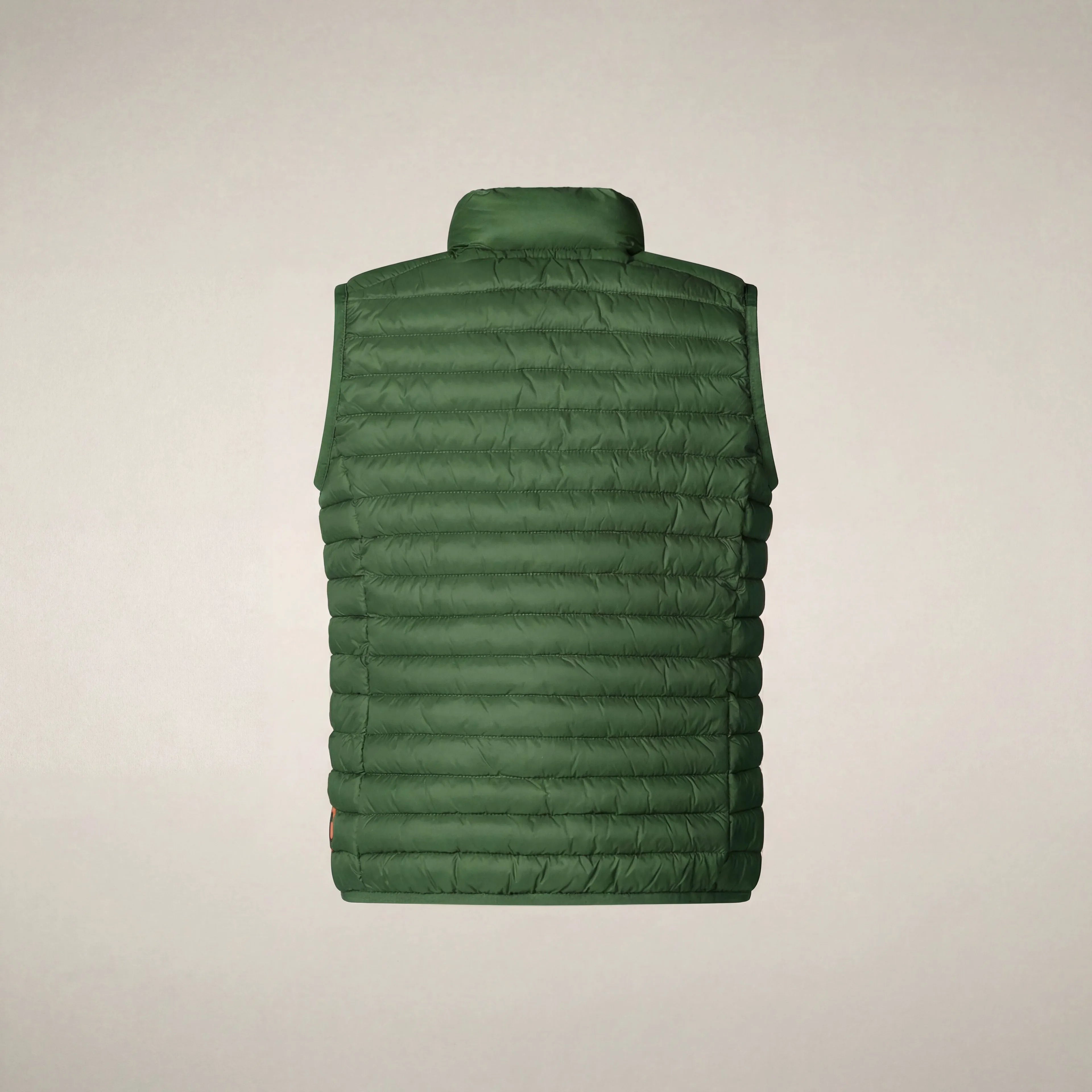Rainforest Green