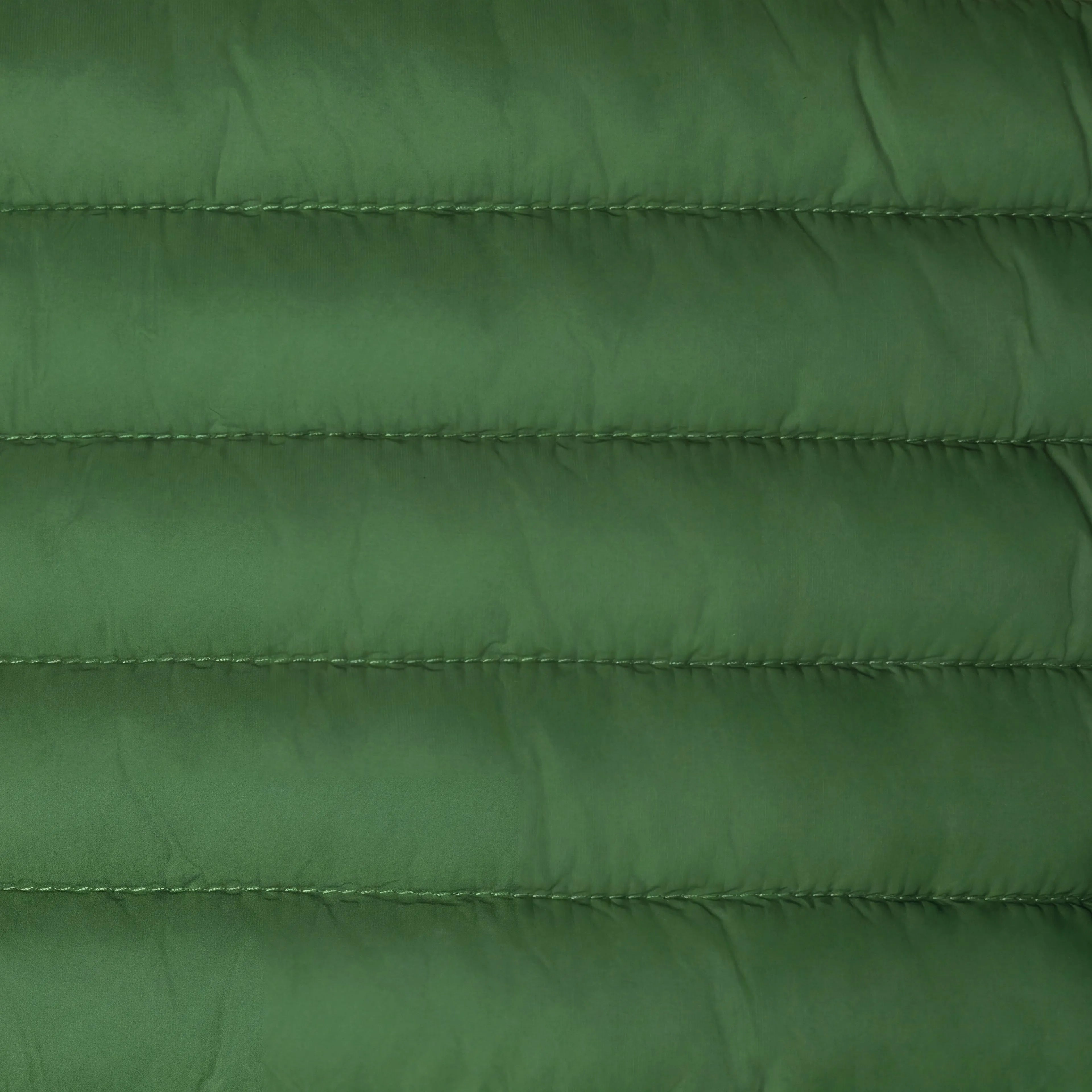 Rainforest Green