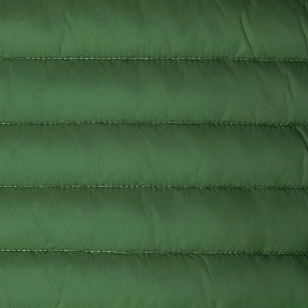 Rainforest Green